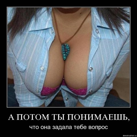 http://cs535.vkontakte.ru/u1553310/108167868/x_5a3c7fe9.jpg